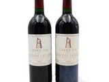 deux bouteilles de vin assises l'une à côté de l'autre