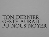 Photo 3/12 du lot