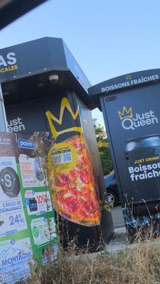 deux poubelles placées l'une à côté de l'autre au bord de la route