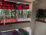 a lot of plants that are on the balcony