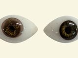 pair of white and brown plastic eyes on a white surface