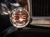 a close up of a car ' s emblem on the front of it