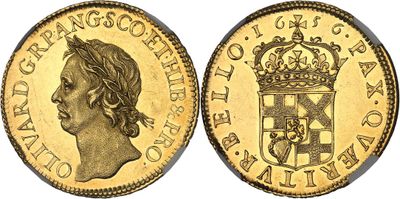 an image of a gold sovereign coin with a crown on it