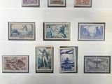 une série de timbres exposés dans une vitrine