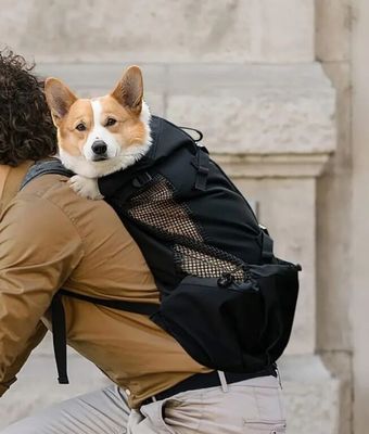 un homme à vélo avec un chien sur le dos