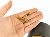 a person holding a small brass object in their hand