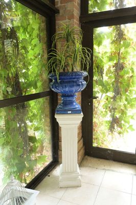 un vase bleu contenant une plante, posé sur un socle