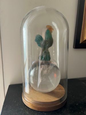 a glass dome with a cactus in it on a table