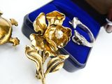 a gold ring and a gold flower brooch in a blue case