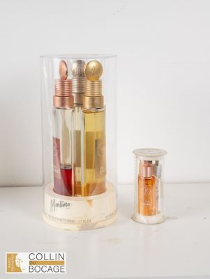 un flacon de parfum à côté d'un petit flacon de parfum
