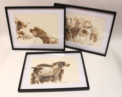 three framed pictures of a dog and a horse on a white background
