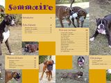 many pictures of dogs that are on the same page
