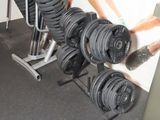 a lot of dumb dumbs on the rack in the gym