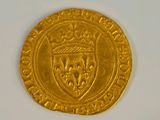 a close up of a gold coin on a white surface