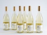 six bottles of white wine are lined up on a white surface