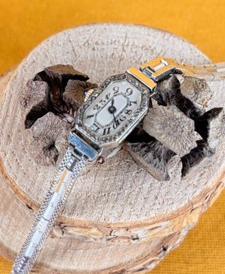 a silver watch sitting on top of a tree stump