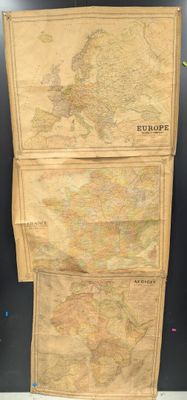 une carte de l'Europe accrochée au mur, à côté d'une plante en pot