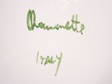 a white plate with a green writing on it