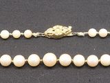 a close up of a necklace made of white beads on a black surface