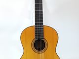 an image of a guitar on a stand against a white background