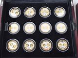 a picture of a display case with twelve gold and silver coins