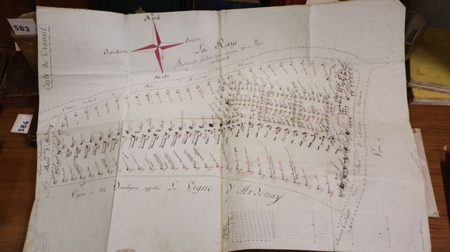 Carte de travail de la vigne à Mr DAUBIGNY, appellées La VIGNE d’...
