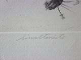 a close up of a piece of paper with a drawing of a bug on it