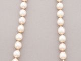 a white pearl necklace with a gold clasp