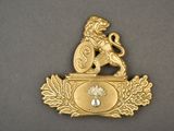 an image of a gold lion with a shield on top of it