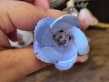 a person that is holding a flower in their hand