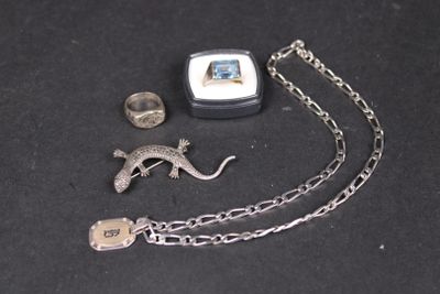 un petit lézard perché sur une chaîne, à côté d'un anneau