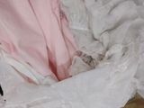a cat that is laying on a pile of clothes