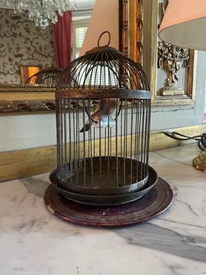 a bird in a cage sitting on a table next to a lamp