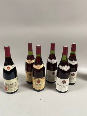 six bouteilles de vin sont alignées sur une surface blanche