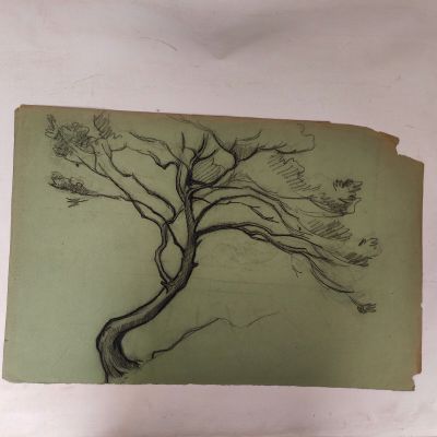 a drawing of a pine tree on a piece of paper
