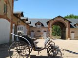 une calèche garée devant un immeuble