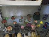 a glass display case filled with various bowls and bowls
