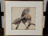 une photo d'un oiseau perché sur une table