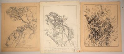 three drawings of flowers are shown in a row on a wall