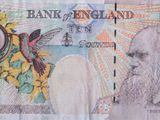 an old bank note with a picture of a man and a bird on it
