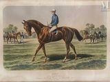un homme à cheval dans un champ, entouré d'autres chevaux
