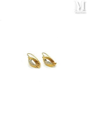 a pair of gold earrings on a white background