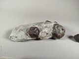 a rock with two small rocks on it and a rock with two smaller rocks on it