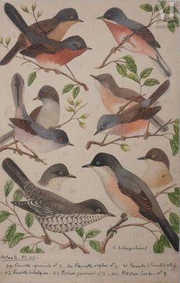 DELAPCHIER Louis  (1878-1959) - Photo 1