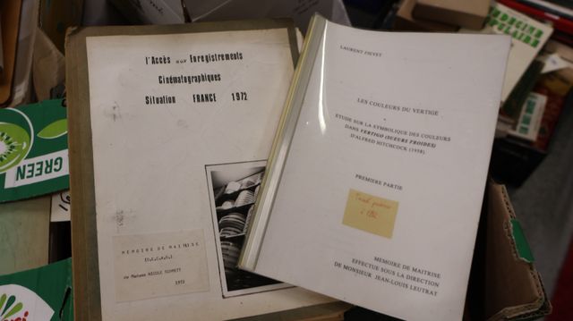 Mémoires de maitrise : 10 tapuscrits. L’activité expressive des p...