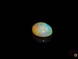 an oplite in the dark with a black background