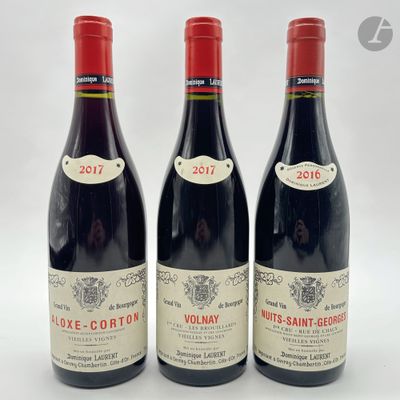 1 B NUITS-SAINT-GEORGES RUE DE CHAUX VIEILLES VIGNES (1er Cru), Domini - Photo 1