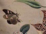 a picture of a painting of a butterfly and a flower