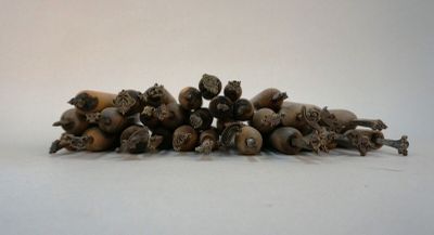 a pile of nuts that are on a table