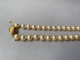 pearl necklace with a gold clasp on a white background